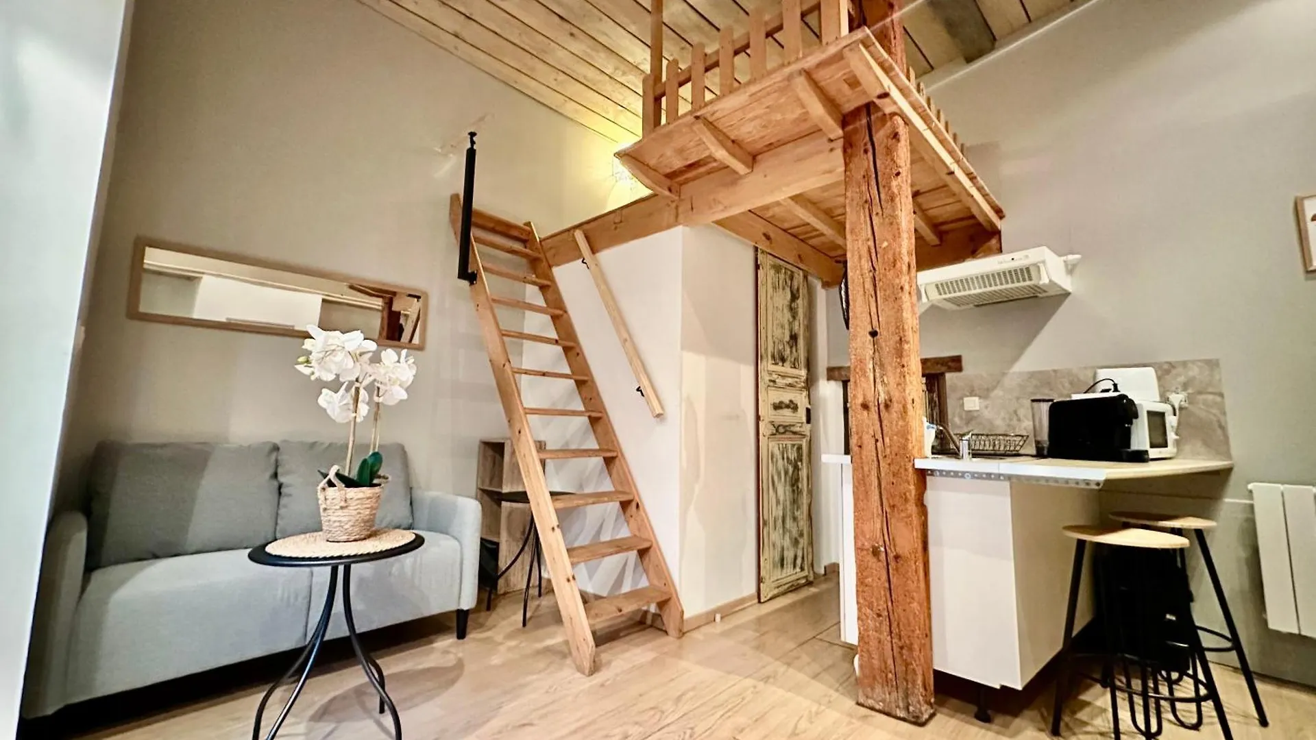 Agreable Studio Plein Centre Saint-Gaudens